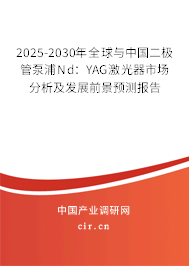 2025-2030年全球與中國二極管泵浦Nd：YAG激光器市場分析及發展前景預測報告