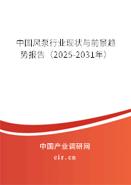 中國風(fēng)泵行業(yè)現(xiàn)狀與前景趨勢報告（2025-2031年）
