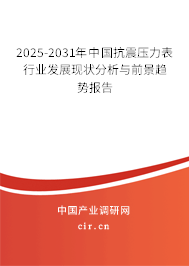 2025-2031年中國抗震壓力表行業發展現狀分析與前景趨勢報告