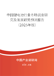 中國(guó)鋰電池行業(yè)市場(chǎng)調(diào)查研究及發(fā)展趨勢(shì)預(yù)測(cè)報(bào)告（2025年版）