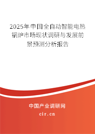 2025年中國全自動智能電熱鍋爐市場現狀調研與發展前景預測分析報告 2025年中國全自動智能電熱鍋爐市場現狀調研與發展前景預測分析報告