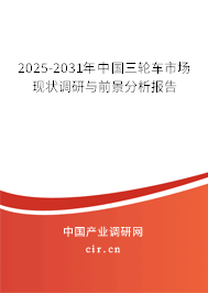 2025-2031年中國三輪車市場現狀調研與前景分析報告