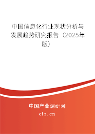 中國信息化行業現狀分析與發展趨勢研究報告（2025年版）