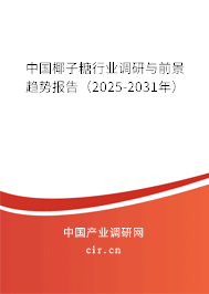 中國椰子糖行業(yè)調研與前景趨勢報告（2025-2031年）
