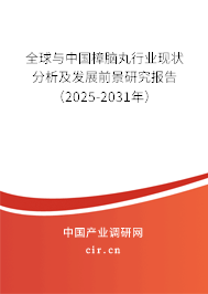全球與中國樟腦丸行業(yè)現(xiàn)狀分析及發(fā)展前景研究報告（2025-2031年）