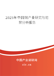 2025年中國錫產業研究與前景分析報告