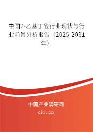 中國2-乙基丁醛行業現狀與行業前景分析報告（2025-2031年）