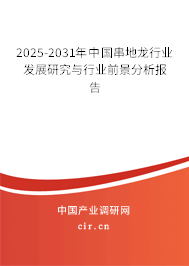 2025-2031年中國串地龍行業發展研究與行業前景分析報告