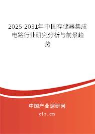 2025-2031年中國存儲器集成電路行業研究分析與前景趨勢