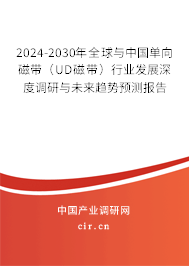 2024-2030年全球與中國單向磁帶（UD磁帶）行業發展深度調研與未來趨勢預測報告