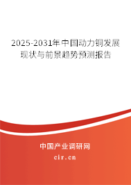 2025-2031年中國動力銅發展現狀與前景趨勢預測報告