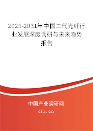 2025-2031年中國二代光纖行業發展深度調研與未來趨勢報告