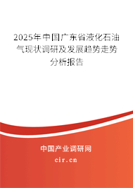 2025年中國廣東省液化石油氣現狀調研及發展趨勢走勢分析報告