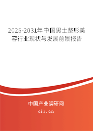 2025-2031年中國男士整形美容行業現狀與發展前景報告