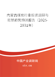 內蒙古煤炭行業現狀調研與前景趨勢預測報告（2025-2031年）