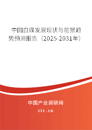 中國白煤發展現狀與前景趨勢預測報告（2025-2031年）