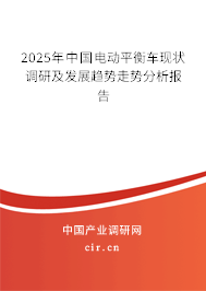 2025年中國電動平衡車現狀調研及發展趨勢走勢分析報告