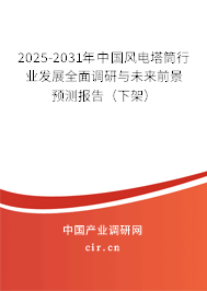 2024-2030年中國風電塔筒行業(yè)發(fā)展全面調(diào)研與未來前景預測報告（下架）