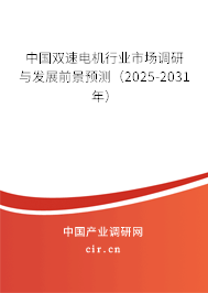 中國雙速電機行業市場調研與發展前景預測（2025-2031年）