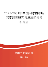 2025-2031年中國網球拍市場深度調查研究與發展前景分析報告