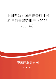 中國無動力游樂設(shè)備行業(yè)分析與前景趨勢報告（2025-2031年）