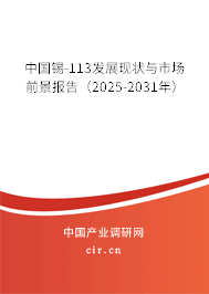 中國錫-113發展現狀與市場前景報告（2025-2031年）