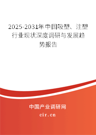 2025-2031年中國(guó)吸塑、注塑行業(yè)現(xiàn)狀深度調(diào)研與發(fā)展趨勢(shì)報(bào)告