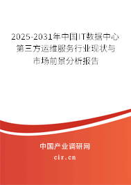 2025-2031年中國IT數(shù)據(jù)中心第三方運(yùn)維服務(wù)行業(yè)現(xiàn)狀與市場前景分析報(bào)告