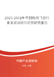 2025-2031年中國極限飛盤行業(yè)發(fā)展調(diào)研與前景趨勢報告