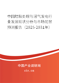 中國垃圾處理與沼氣發(fā)電行業(yè)發(fā)展現(xiàn)狀分析與市場前景預(yù)測報告（2025-2031年）