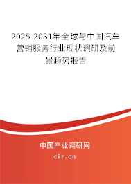 2025-2031年全球與中國汽車營銷服務(wù)行業(yè)現(xiàn)狀調(diào)研及前景趨勢報告