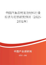 中國汽車座椅發泡材料行業現狀與前景趨勢預測（2025-2031年）