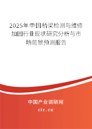 2025年中國橋梁檢測與維修加固行業現狀研究分析與市場前景預測報告