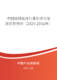 中國(guó)煙酰胺片行業(yè)現(xiàn)狀與發(fā)展前景預(yù)測(cè)（2025-2031年）
