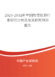 2025-2031年中國(guó)智慧能源行業(yè)研究分析及發(fā)展趨勢(shì)預(yù)測(cè)報(bào)告