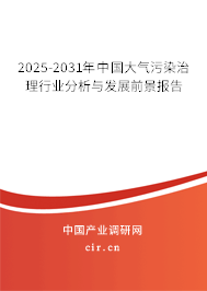 2025-2031年中國大氣污染治理行業分析與發展前景報告