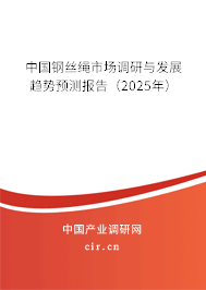 中國鋼絲繩市場調研與發展趨勢預測報告(2025年) 中國鋼絲繩市場調研與發展趨勢預測報告(2025年)