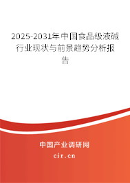 2025-2031年中國食品級液堿行業(yè)現(xiàn)狀與前景趨勢分析報告