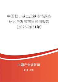 中國叔丁基二茂鐵市場(chǎng)調(diào)查研究與發(fā)展前景預(yù)測(cè)報(bào)告（2025-2031年）