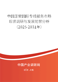 中國衛星國際專線服務市場現狀調研與發展前景分析（2025-2031年）