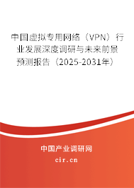 中國虛擬專用網絡（VPN）行業發展深度調研與未來前景預測報告（2025-2031年）