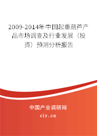 2009-2014年中國起重葫蘆產品市場調查及行業發展（投資）預測分析報告