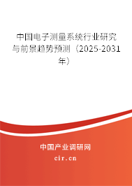 中國電子測量系統行業研究與前景趨勢預測（2025-2031年）