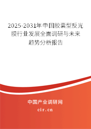2025-2031年中國膠囊型反光膜行業發展全面調研與未來趨勢分析報告