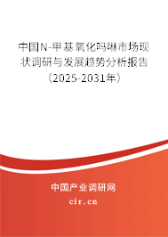 中國N-甲基氧化嗎啉市場現狀調研與發展趨勢分析報告（2025-2031年）