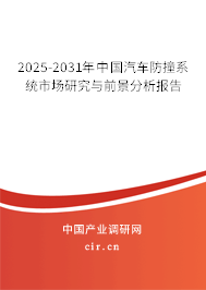2025-2031年中國汽車防撞系統(tǒng)市場研究與前景分析報(bào)告