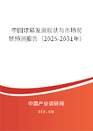 中國球幕發展現狀與市場前景預測報告（2025-2031年）