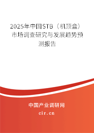 2025年中國STB（機頂盒）市場調查研究與發展趨勢預測報告