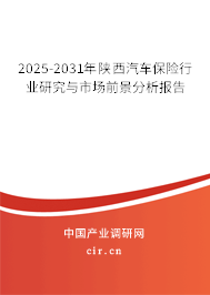 2025-2031年陜西汽車保險行業研究與市場前景分析報告
