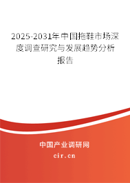 2025-2031年中國拖鞋市場深度調查研究與發(fā)展趨勢分析報告